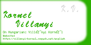 kornel villanyi business card